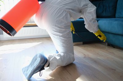 Roach Fumigation in Ann Arbor, MI