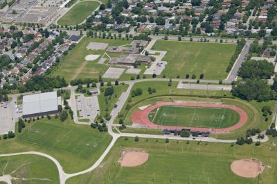 Why Crickets Invade Homes And How To Stop Them