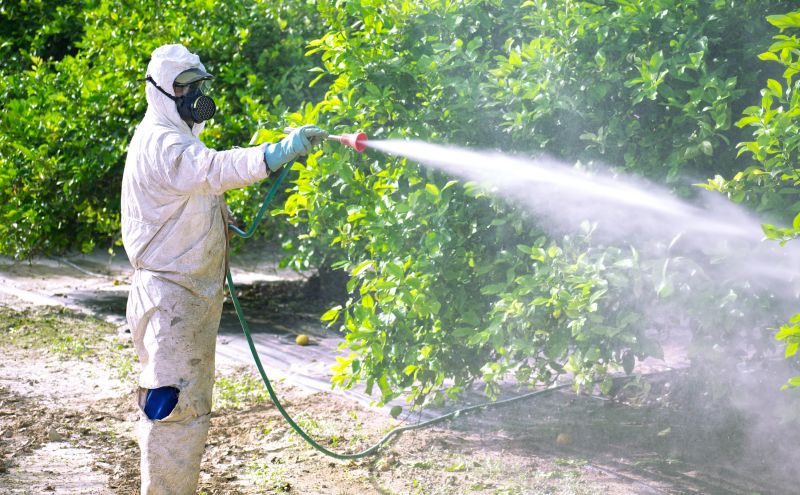 Pest Fumigation Service in Long Island, NY